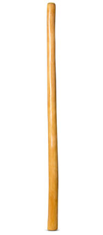 High Gloss Finish Didgeridoo (NW146)